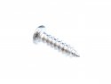 Schroef / Parker kruiskop RVS M2 x 8,0mm met bolle kop